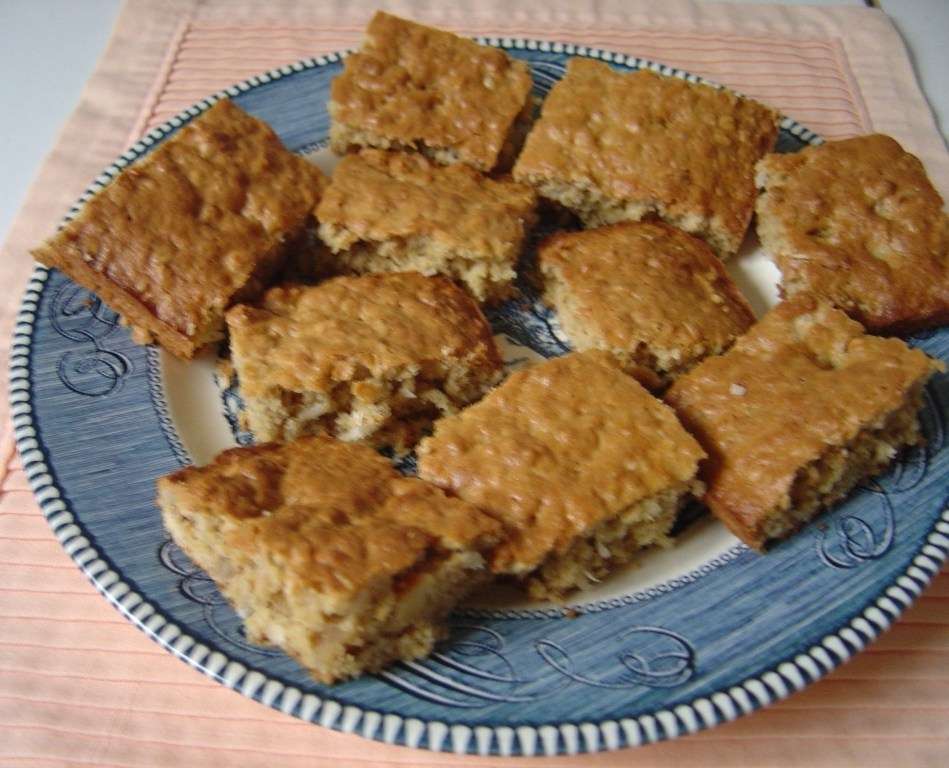 Coconut oatmeal bars on plate