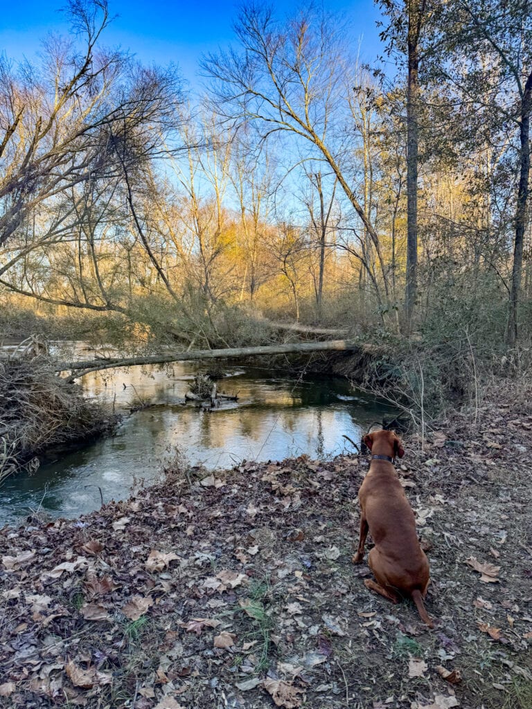 A December Day walk