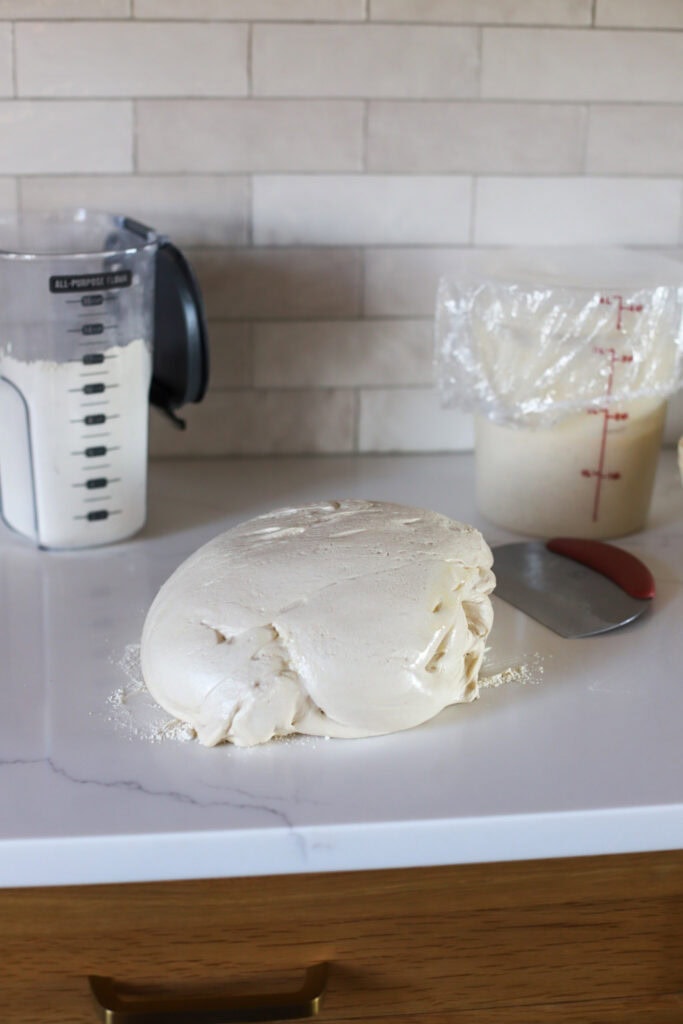 sourdough tutorial