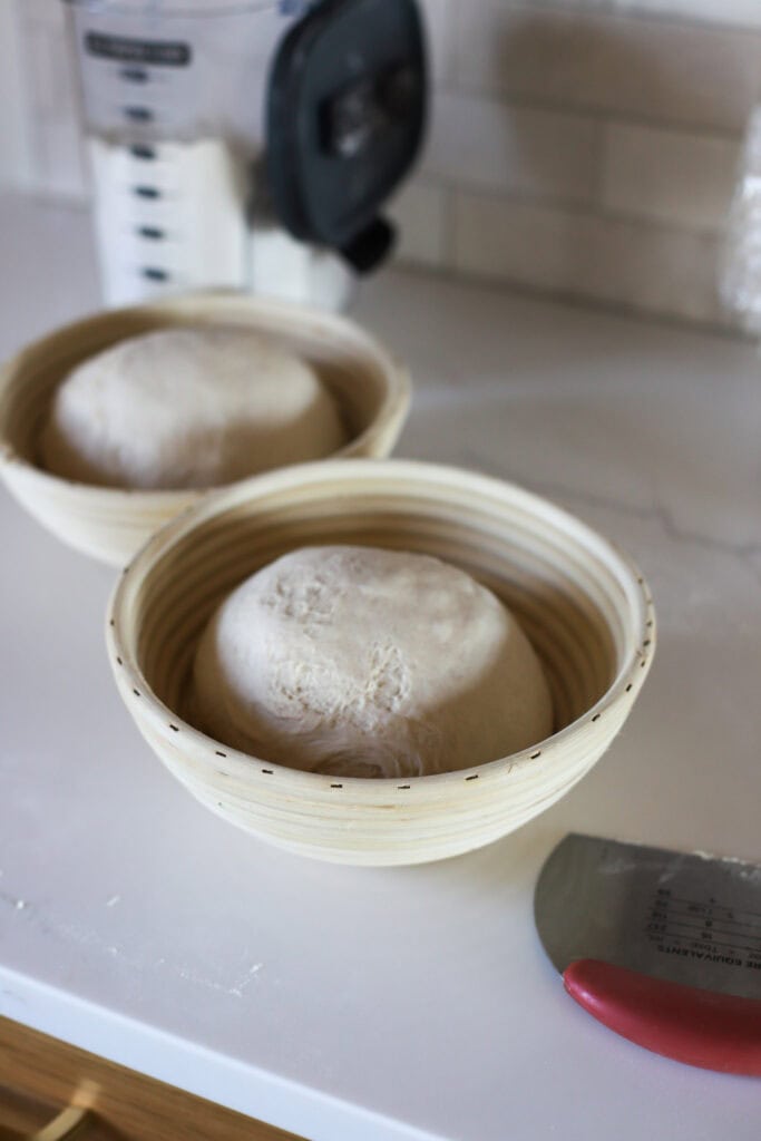 sourdough in bowl