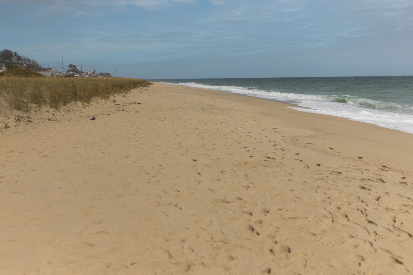 sconset beach Nantucket Travel Guide