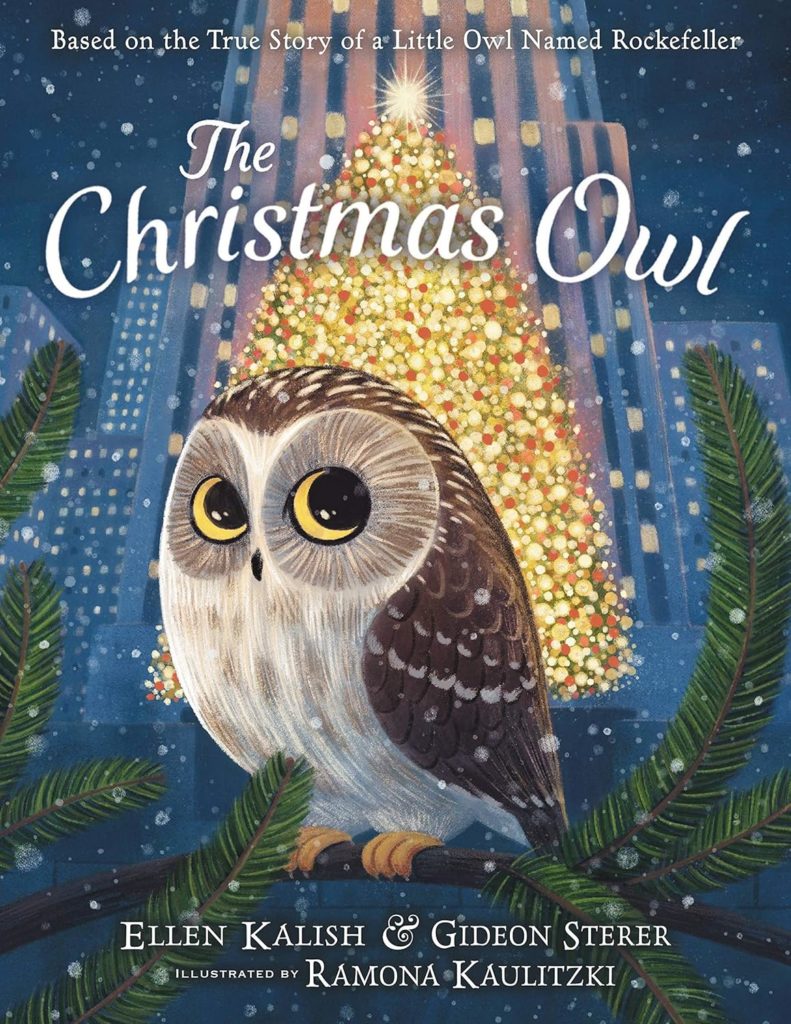 The Christmas Owl | Christmas Books for Kids