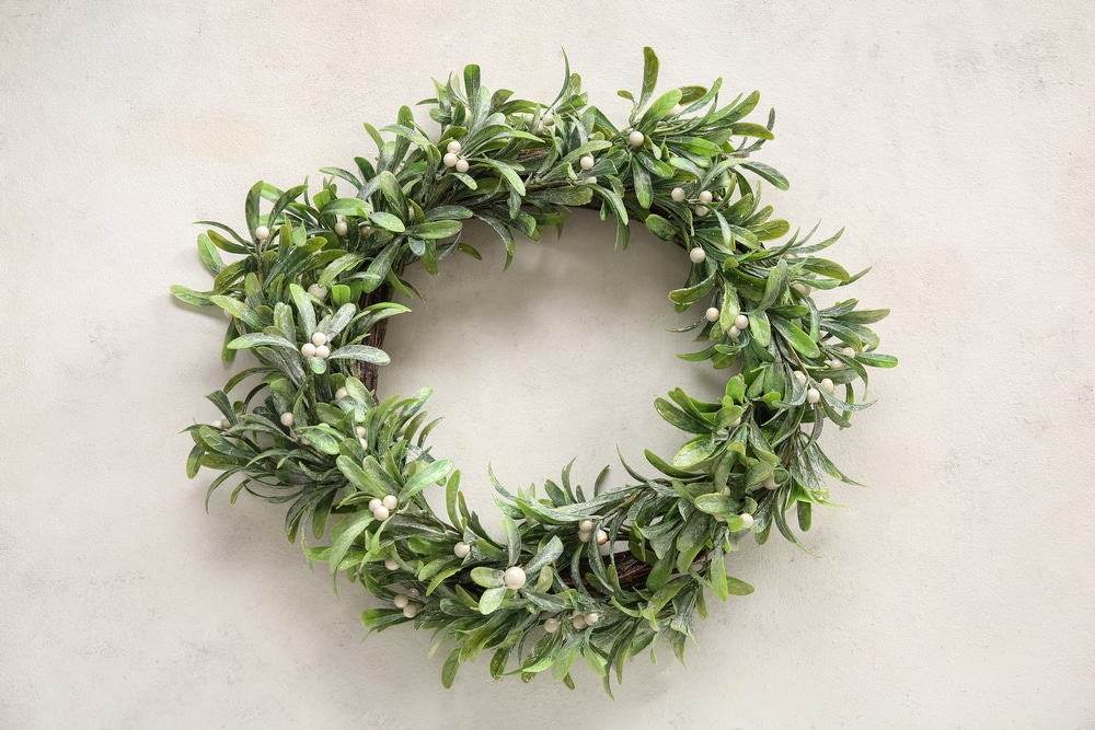 Beautiful mistletoe wreath on white background.