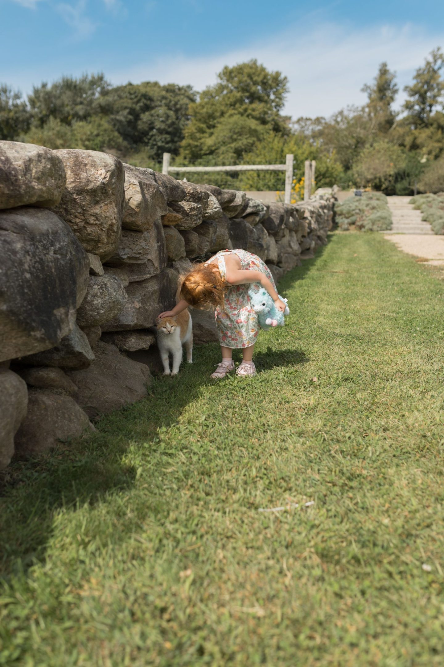 the grey barns in Martha's vineyard