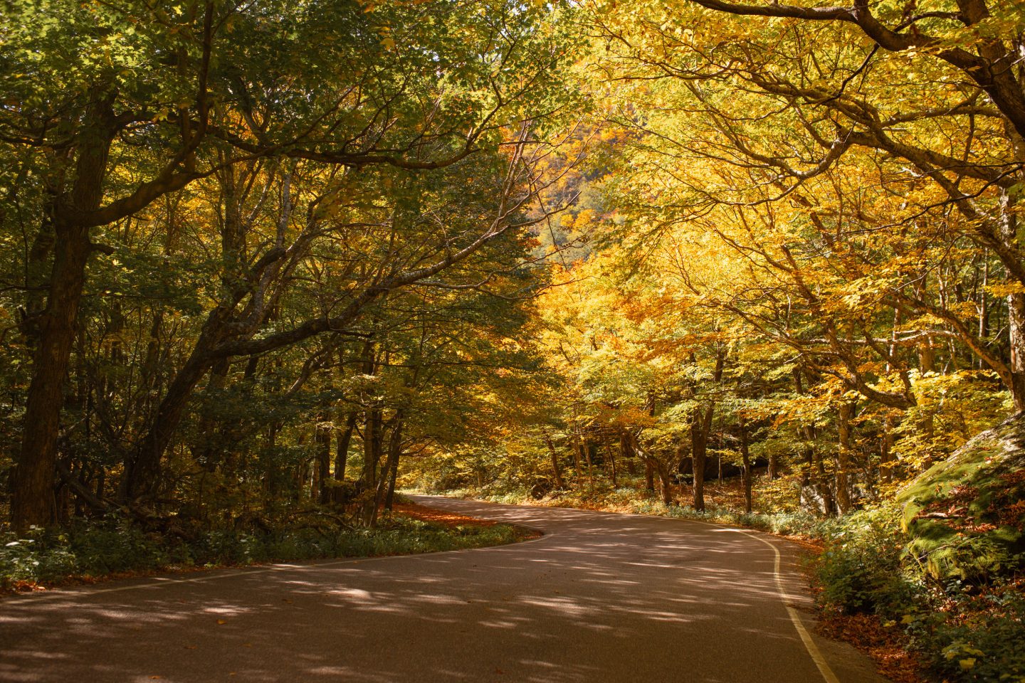 Smuggler's notch pass