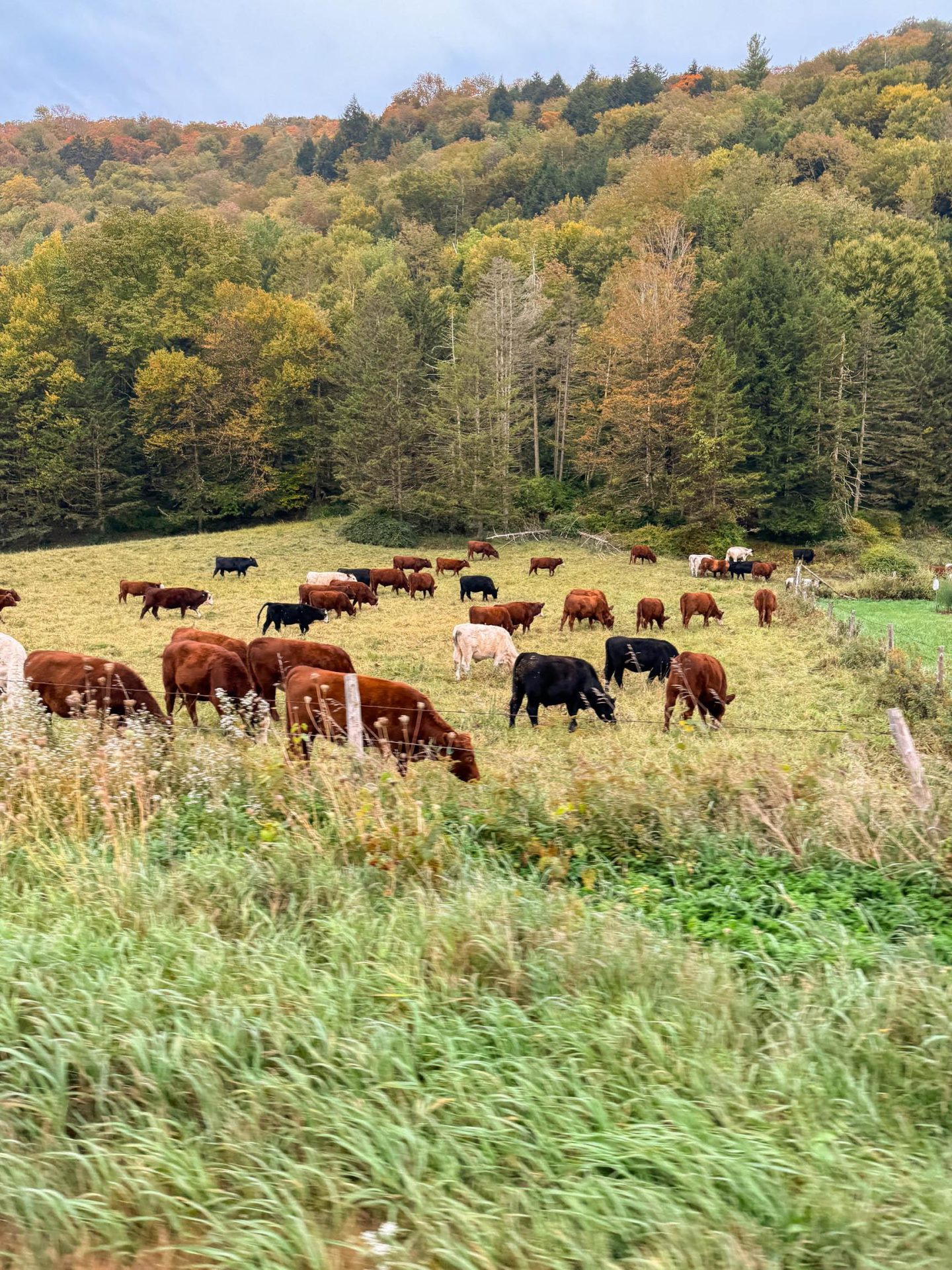 vermont route 100 in waitsfield