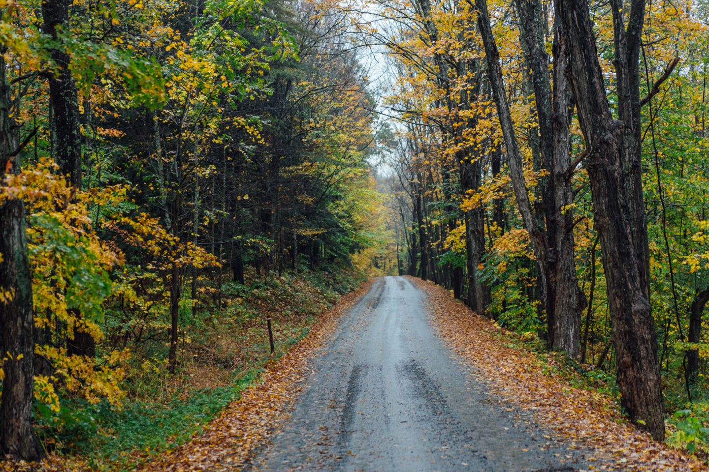 Backroad Scenic Drives in Vermont