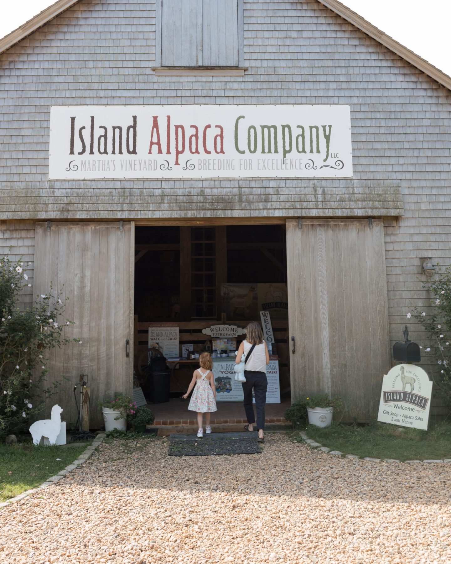 Island Alpaca Company