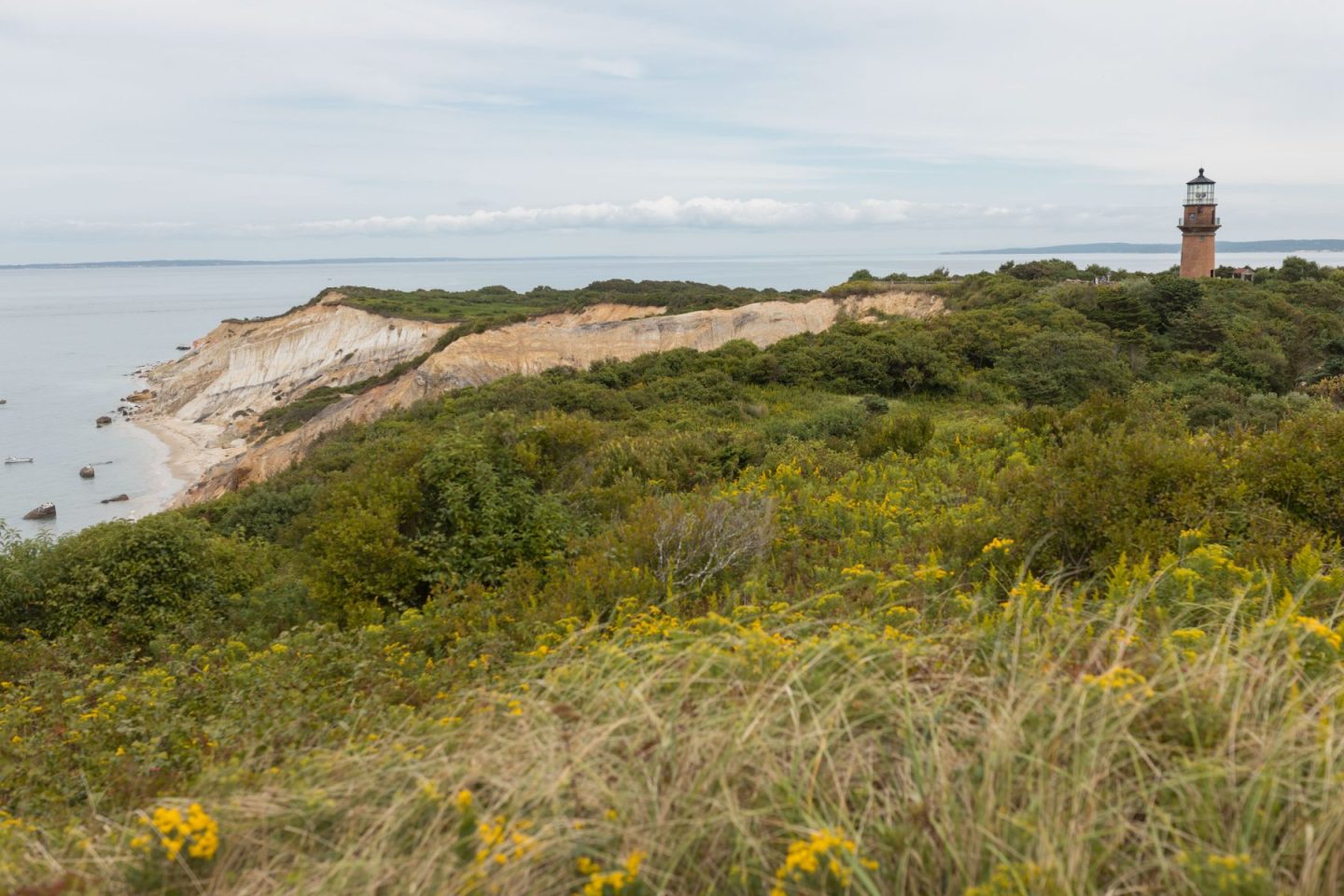 the views of aquinnah cliffs