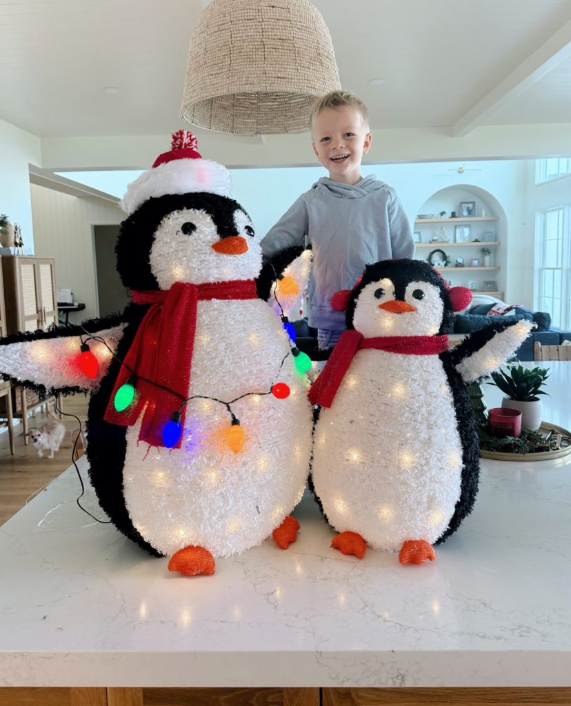 Rhett light up penguins