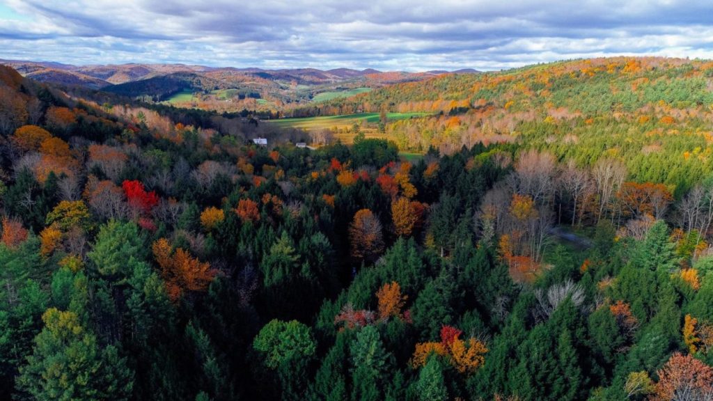 Best Scenic Drives in Vermont During Fall