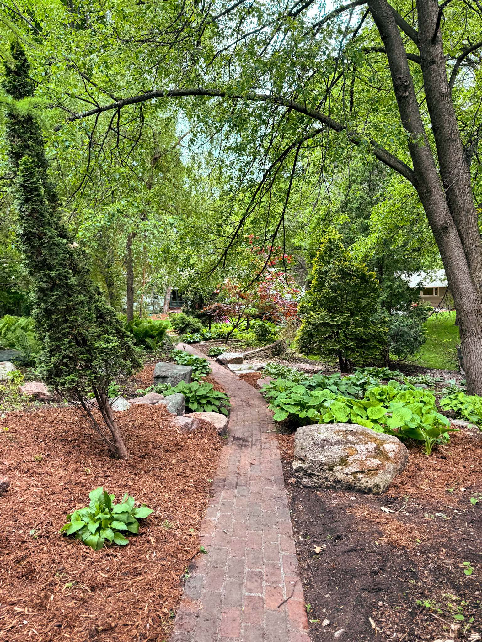 Backyard garden beds filled with hostas, ferns, and evergreens. A brick path runs through the center of the large garden.