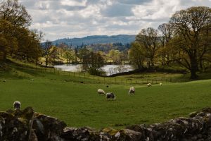 Landscape image placeholder