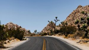 Landscape image placeholder